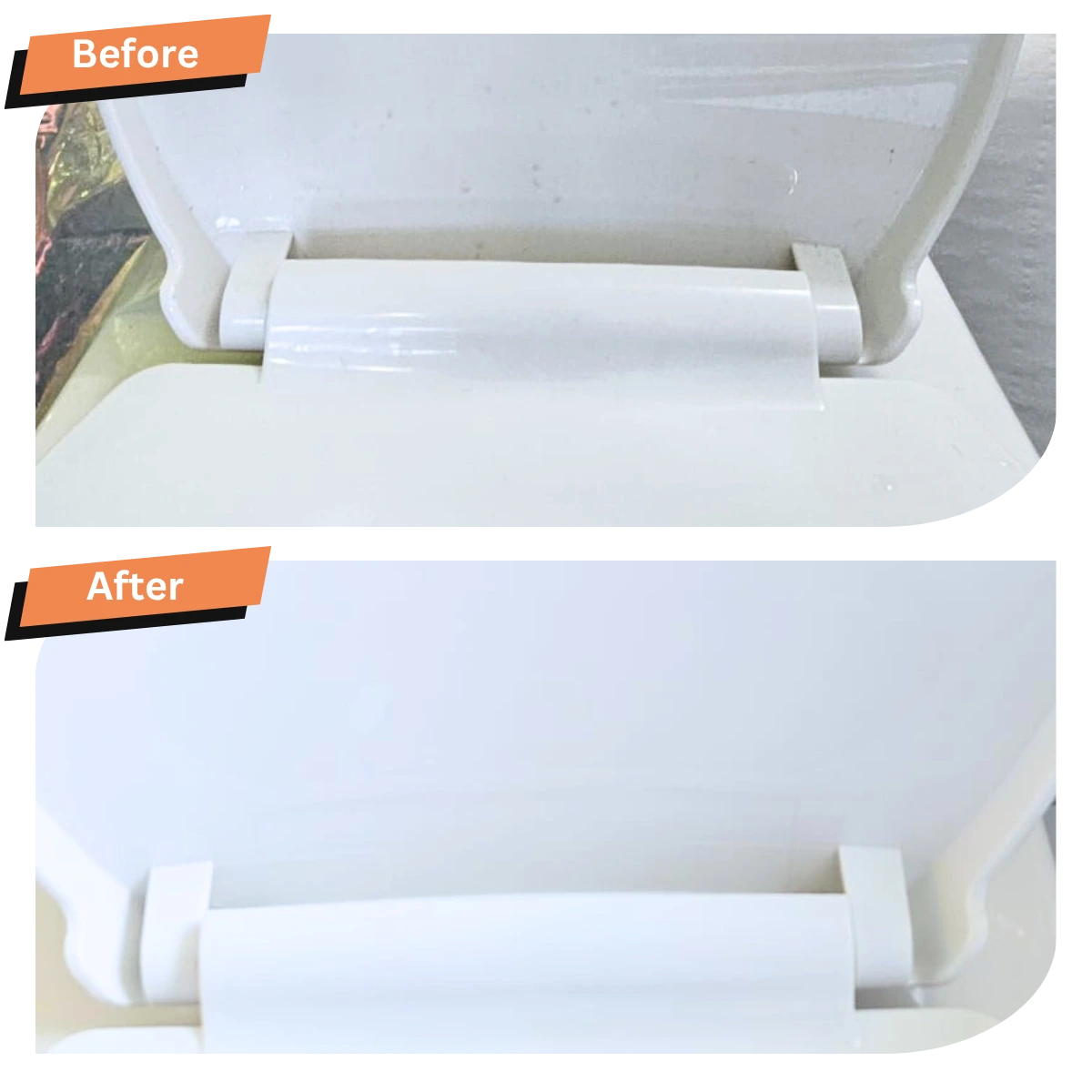 Toilet Seat Clean